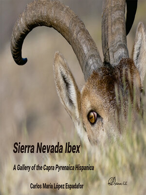 cover image of Sierra Nevada Ibex